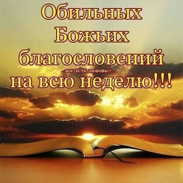 ил ьн ыж
