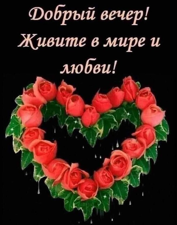 Фобрый вечер Живите в мире и любви