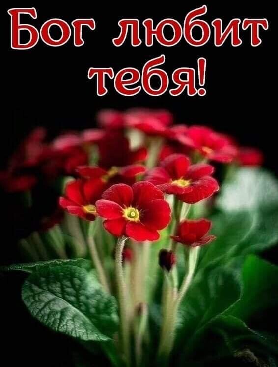 В жюбэжт