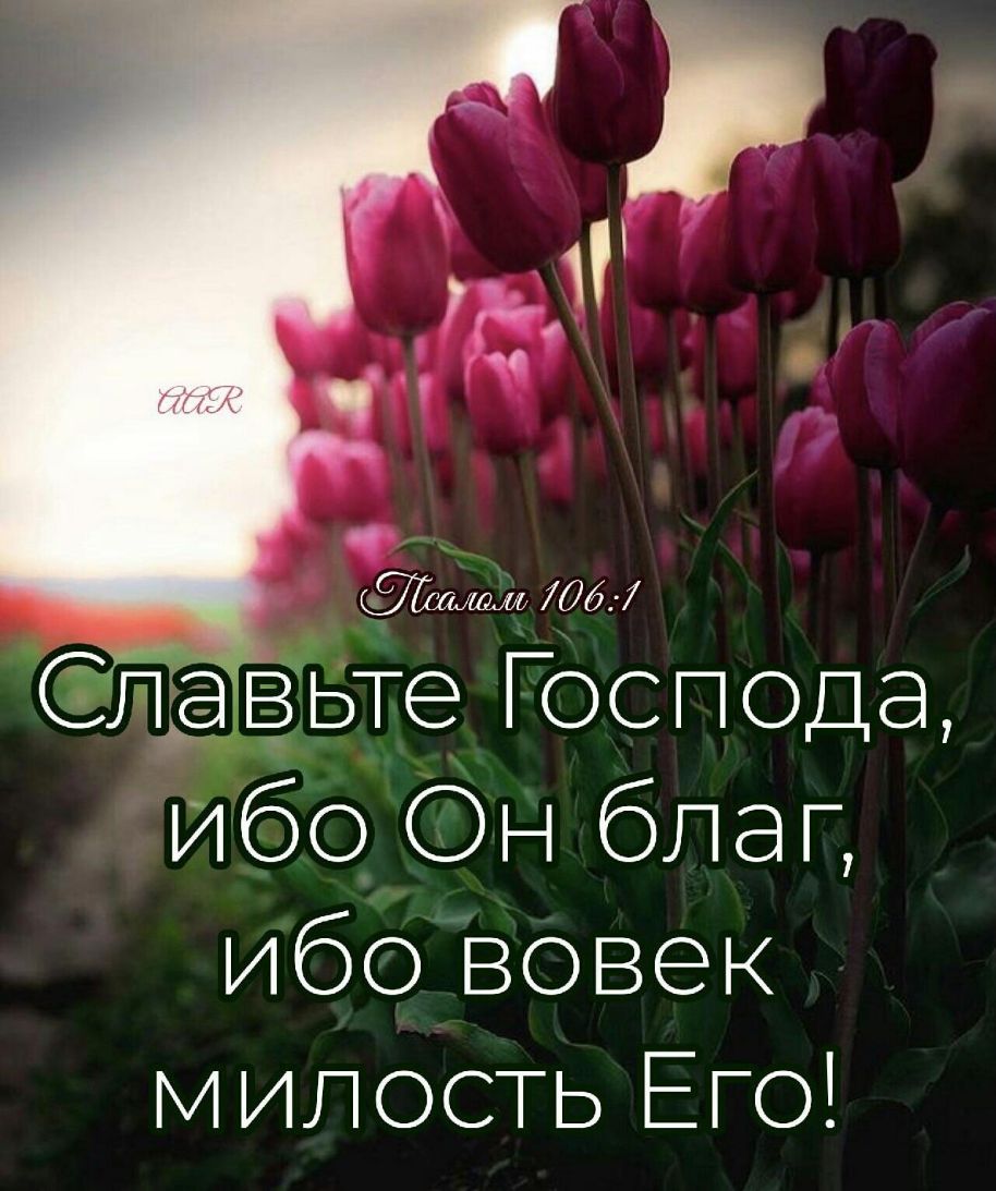 СлавЬТе ГОспода Ибо Он благ Ибо вовек МИЛОСТЬ Его