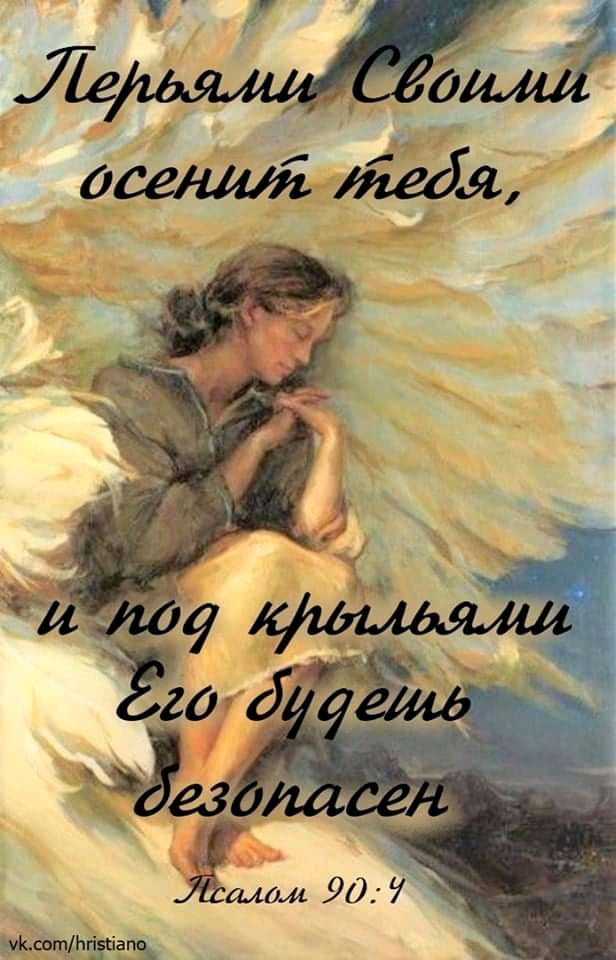 жми9309