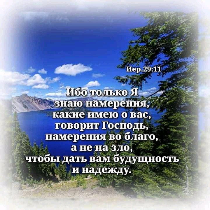 Брспіоды намерения во благо и надежду