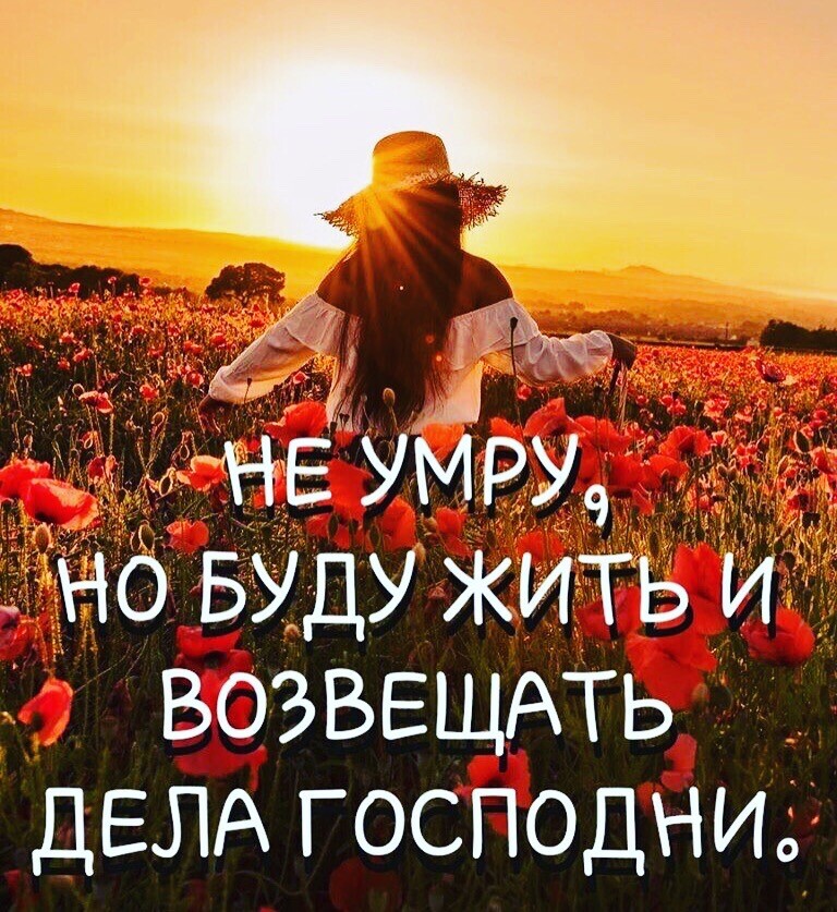 0 Буду жить и ВОЗВЕЩАТЬ ДЕЛА господни