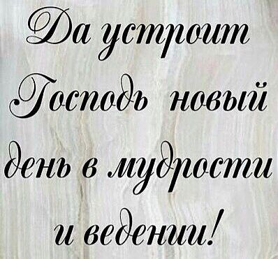 а устроит СО 0072081 новый день в мифтети и ведении