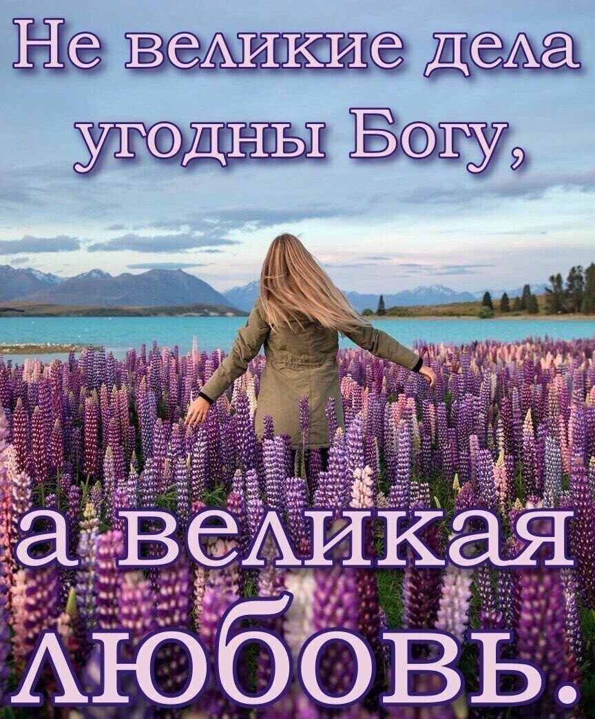 ВЗАИК Ие Деда 9 ГдН1 Баг У