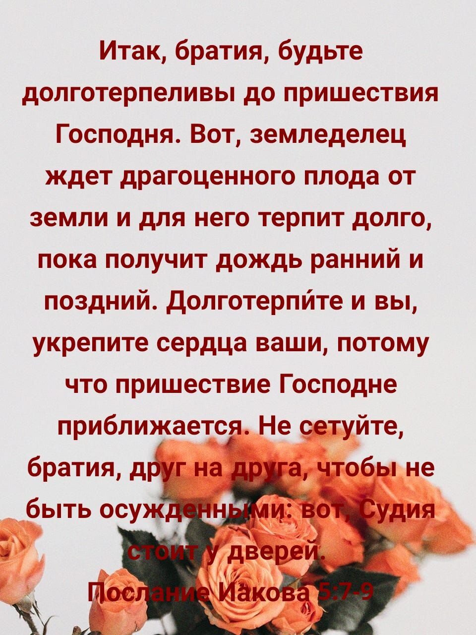 Итакбратиябудьте долготерпеливы до пришествия ГосподняВотземледелец ждет драгоценного плода от земли и для него терпит долго пока получит дождь ранний и поздний долготерпите и вы укрепите сердца ваши потому что пришествие Господне приближаетср Не сетуйте братиядрдгна а чтобы не