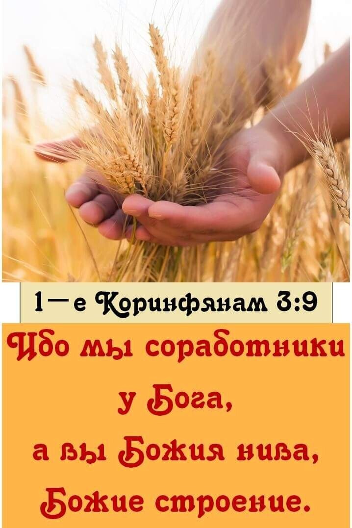 1е Чфринфянамё эт Цбо мы сораБотники у Бога а вы Богиня шта Богине строение