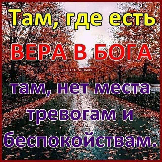 Йж св м