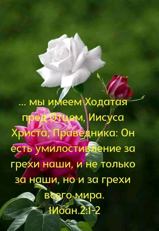 Че не только за наши, но и за грехи ьч « вчагоддира. И  жибан.2:122