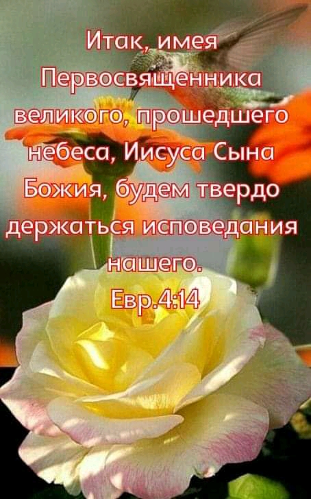 ч