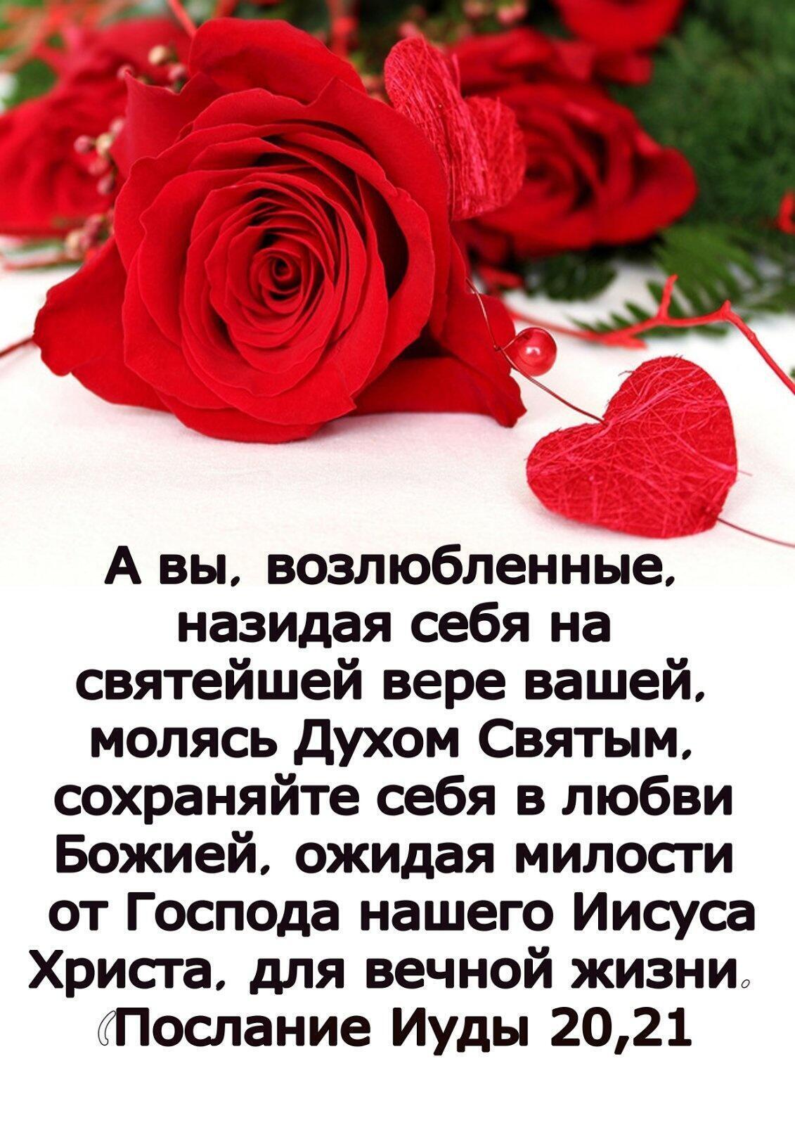 А вы возлюбленные назидая себя на святейшей вере вашей молясь Духом Святым сохраняйте себя в любви Божией ожидая милости от Господа нашего Иисуса Христа для вечной жизнид Послание Иуды 2021