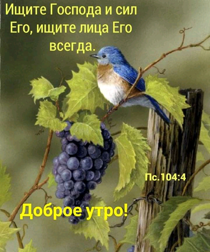 Ищите Господни