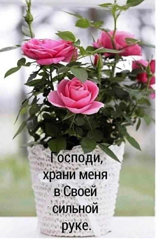 храни меня вСвоей сильной руке