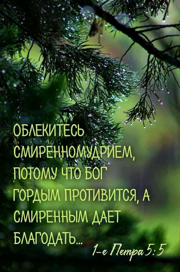 А смирвнным ааеть' бмагодать.. Па 5'