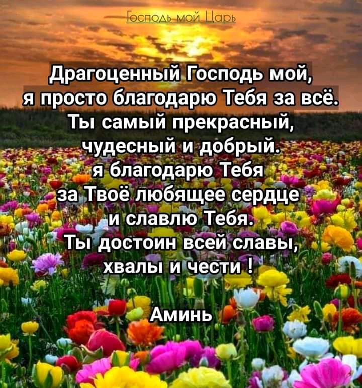 драгоценный Господь мой я просто благодарю Тебя за всё Ты самый прекрасный чудесньій и добрый 217 я благодарю Тебе _ дааТвоё тобящее сердце іь _ и спавлю Тебя Ты достоин всеиспавы _ _ хвалы ичести 9