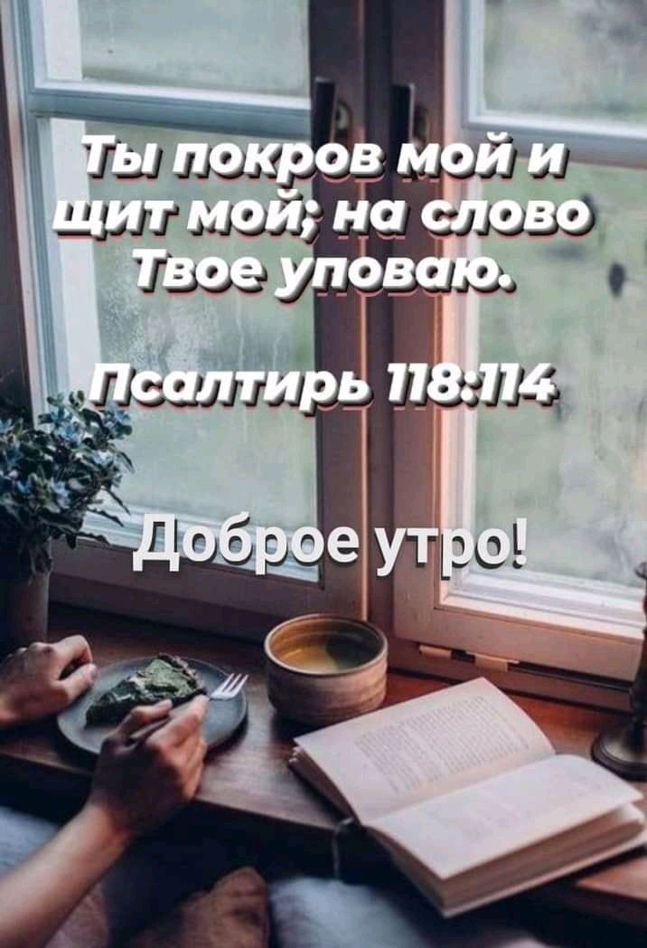 й   ы покров мой и  щитмой; на слово.