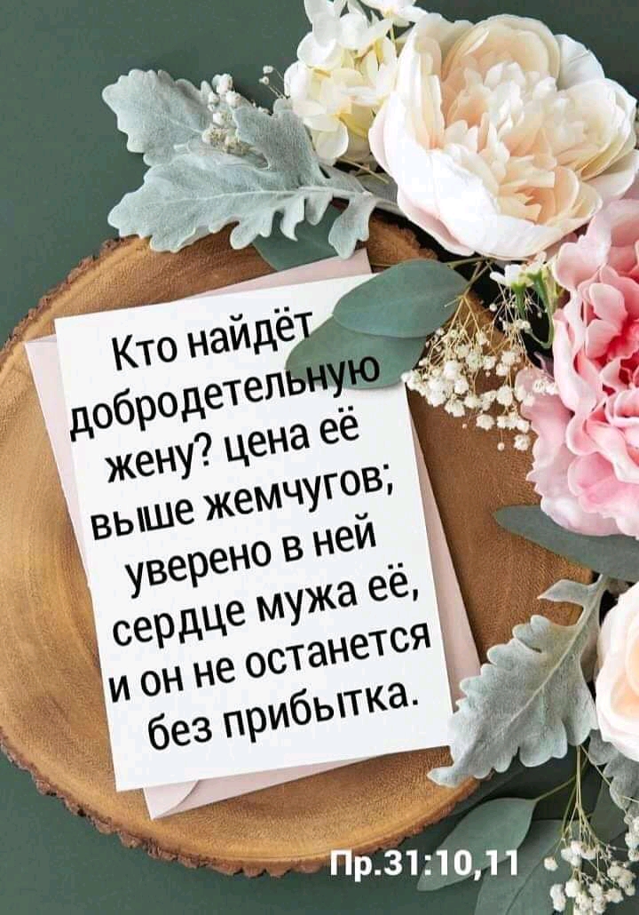 р3101