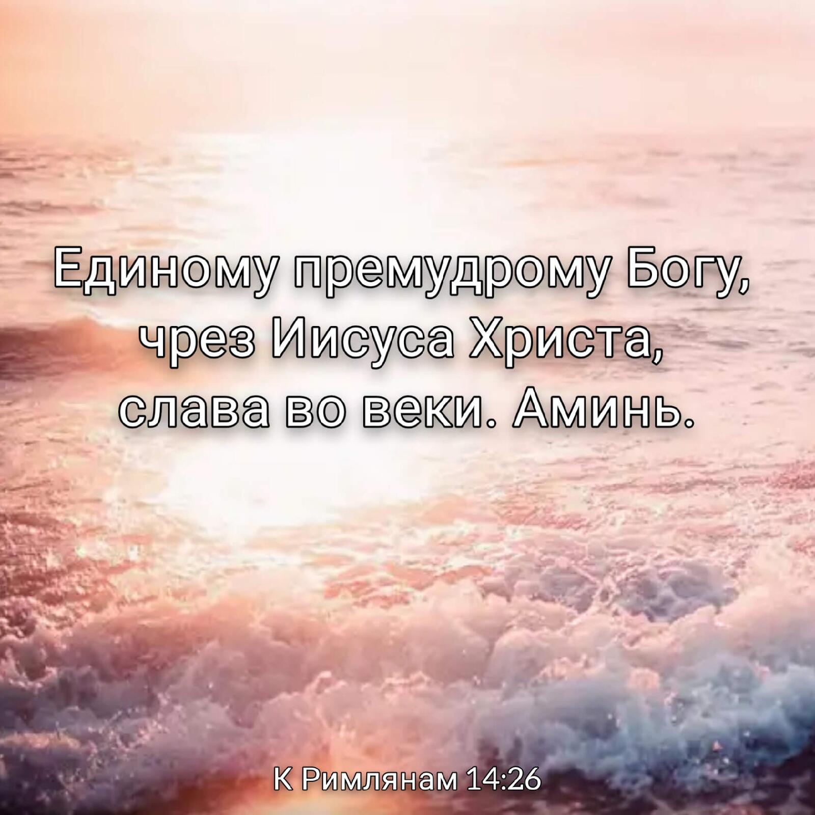 ц и ёду 37 Ветви