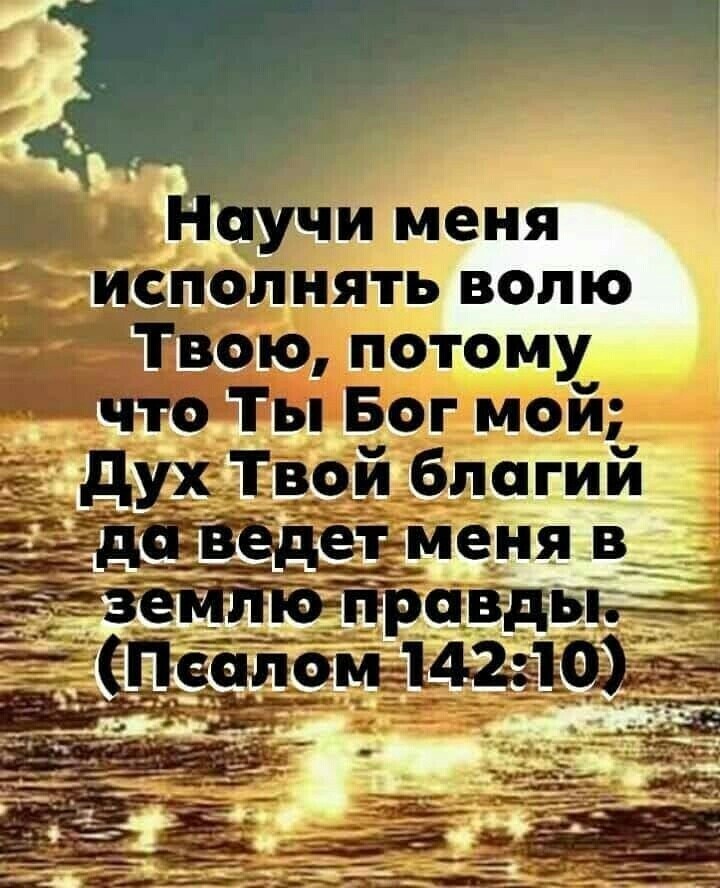 дтп ьщ