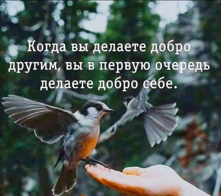 ТЁЗЪ Когда вы делаете дбж Ъругйм вы в первуюрчть деэдетіёбродебе