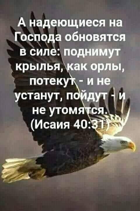 А надеющиеся на Господа обновятся в силе _подцитіут крылья какорлы не утом Исаия 40