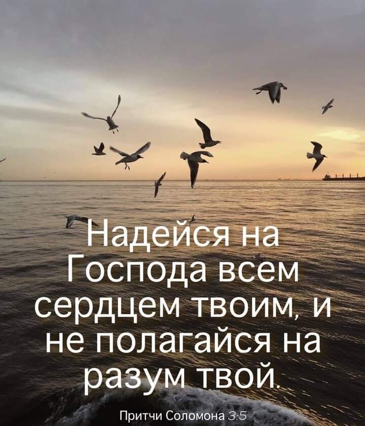 сеРДЦеМ ТВОИМ 9 ПОЛагаися На ПРИТЧИ Соломона 3
