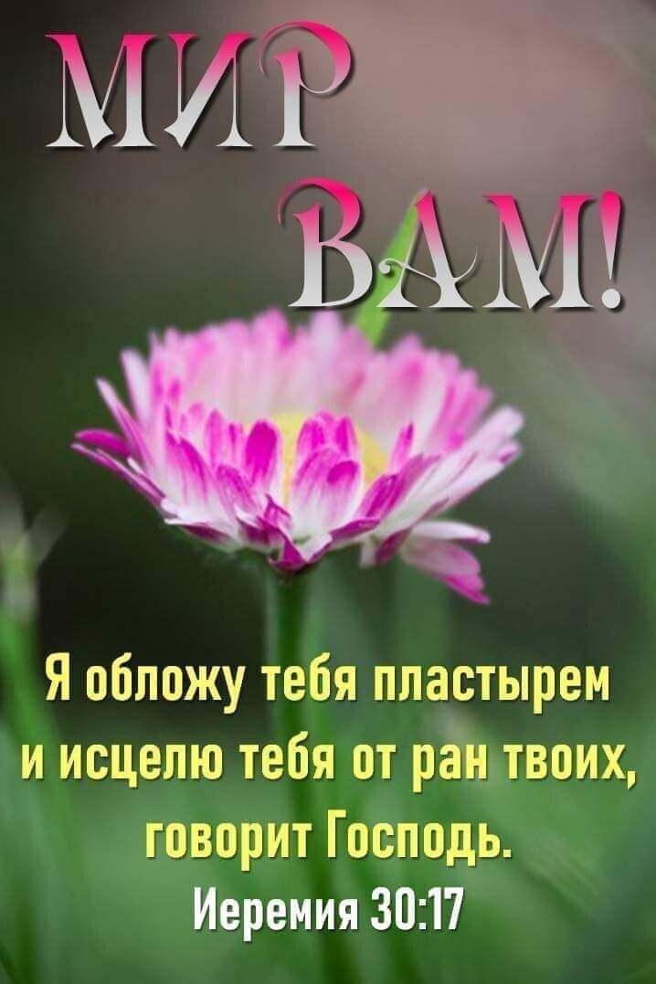 Я обложу тебя пластырем и исцепю тебя от ращвоих дезорит ГоЁподь Иеремия 3017