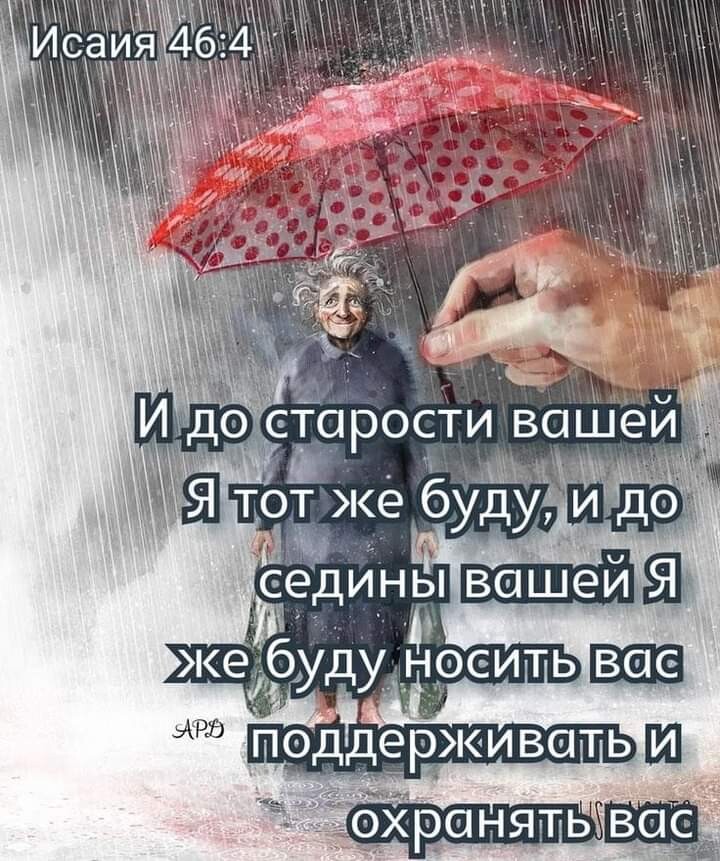 о тоцэости ваЩёи седины ВСГШёЙ Я же _буду носить поддерживать Ш