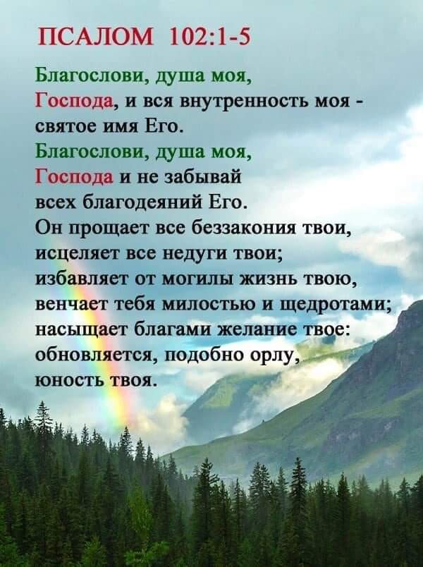 ПСАЛОМ 10221 5 Благослови душа моя Господа и вся внутренность моя святое имя Его Благослови душа моя Господа и не забывай всех благодеяний Его Он прощает все беззакония твои исцеляет все недуги твои избавляет от могилы жизнь твою венчает тебя милостью и щедротами насыщает благами желание тво обновляется подобно флудач юностьтвоя