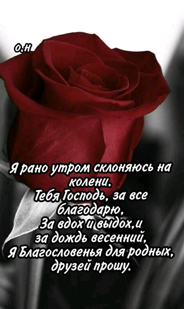 1 Я рано утром еёшось на колет Лебя Господь за все благодарю За вдох выдох _ за дождь весеннии Я Блаёословенья для родных А друзей прошу _
