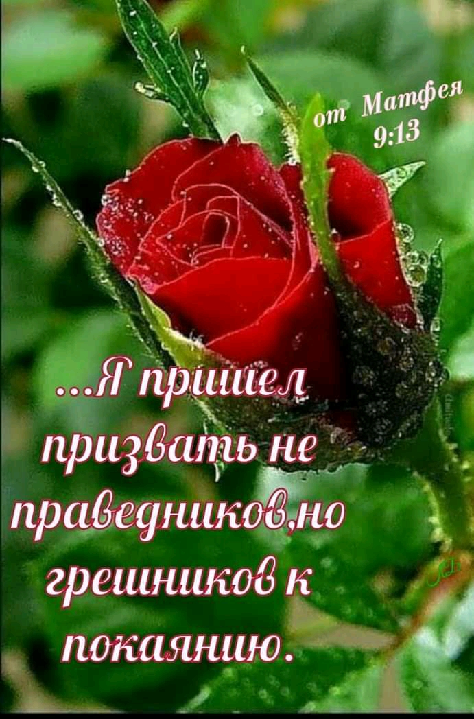 Я пришел прифать не В прийвупикоёано грешникод к покаянию ь _ дц