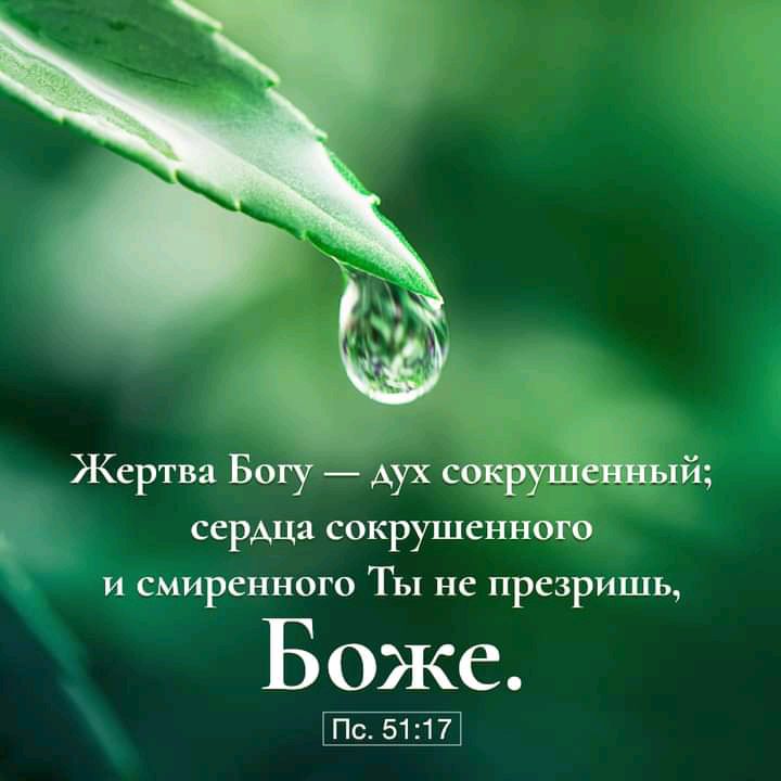 Жертва богу  дух сокрушённ сердца сокрушенного и смиренного ты не презришь, боже.