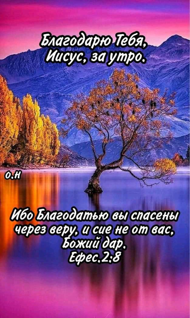 Й благодарю 726я х   у ибоблагодатью, выспасены, через веру,исиене от вас, ожий дар. Ефес.2:8