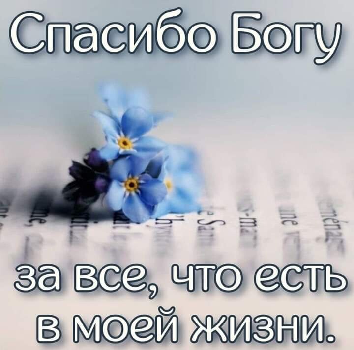 Ав _ г ЕдіЁЗ Ы 73 3 9 есть мсфеи 0