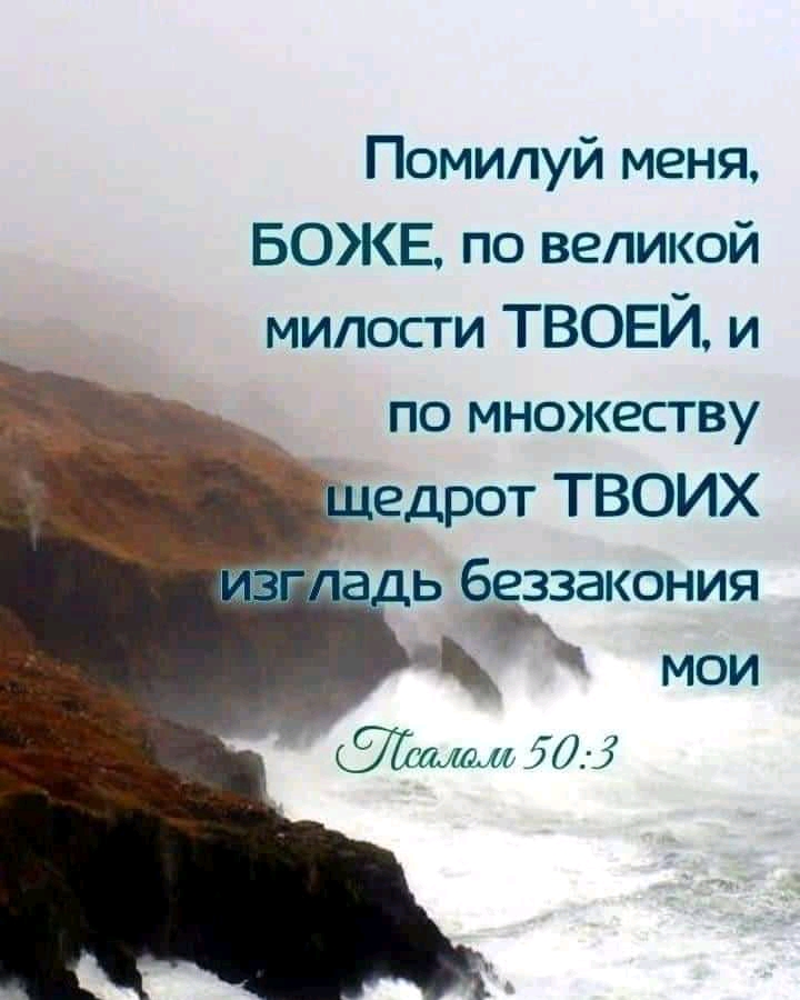 Помилуй меня БОЖЕ по великой милости ТВОЕЙ и по множеству едрот ТВОИХ адь беззакония МОИ жимы 501
