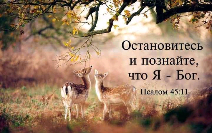 Остановитесь и познайте что Я Бог Псалом 4511_