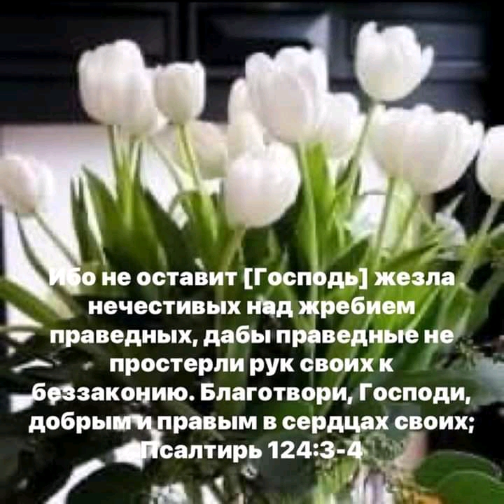 не остаЁит ГоспЬдь жезла нечестивых инд жребием праведных дабы праведные не А простерпи рук своих х бвзаконию Благотвори Господи добры равым в сердцах своих антирь 124 3 я ЗА