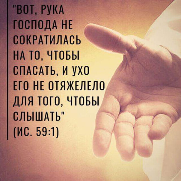 і слышдтн ис 591