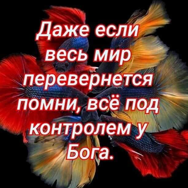 даже ест