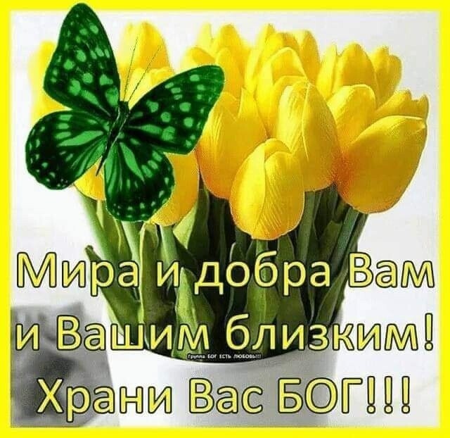 и ШкИМ близк тіа Басё