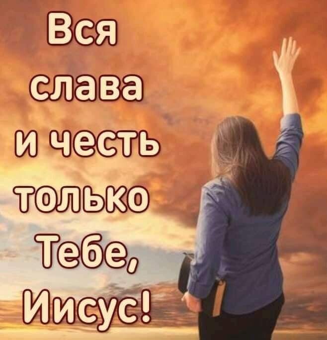 Вся слава и честь долько тшд