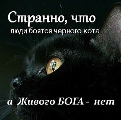 Странно что ЛЮДИ бОЯТСЯ ЧЕРНОГО кота Живого БОГА нет 1