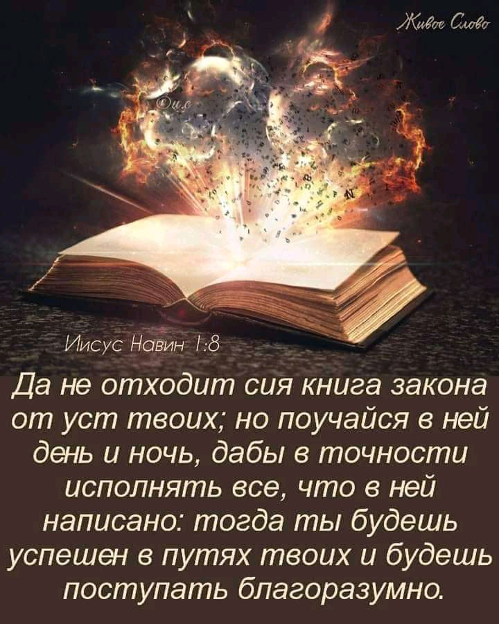 Иисус НоЁин 8 Да не отходит сия книга закона от уст твоих но поучайся в ней день и ночь дабы в точности исполнять все что в ней написано тогда ты будешь успешен в путях твоих и будешь поступать благоразумно