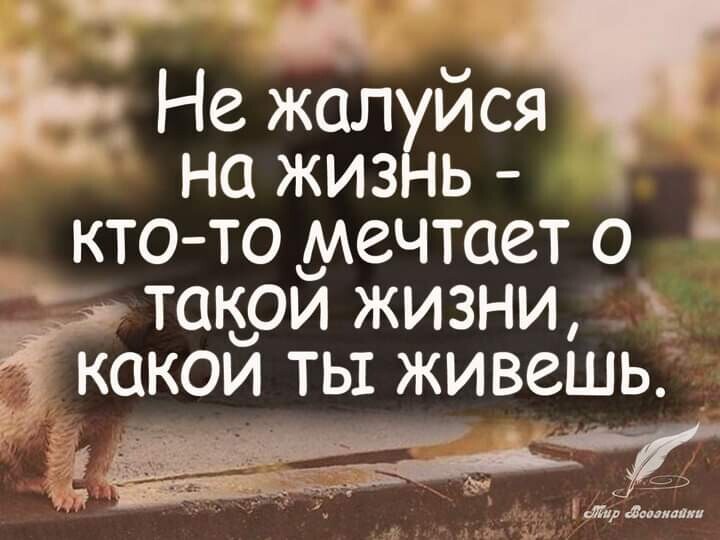 Ь Не жал ися на жиз ь кто то мечтает о таъои жизни ешь 7 ж 72 _ __ _ м эм