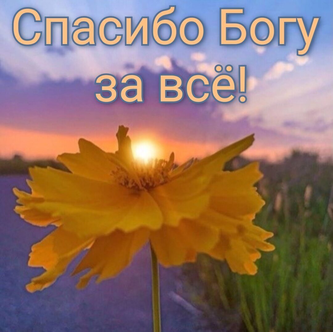 Тъшо