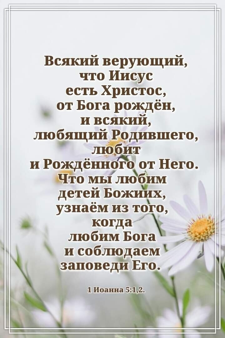 когда Всякий верующий что Иисус есть Христос от Бога рождён и всякий любящий Родившего ЙТ и РождёниоЁЪ от Него Ёто мы шобим детей Божиих узнаём из того любим Бога и соблюдаем