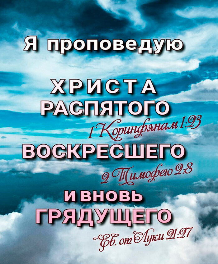 Япрогіовеуую жэшстэтгж СПЯТОГО 195