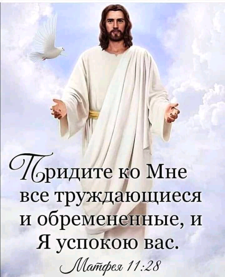 идите 161 Мне все труждающиеся и обременешные и Я успбкою вас 7фщ 28