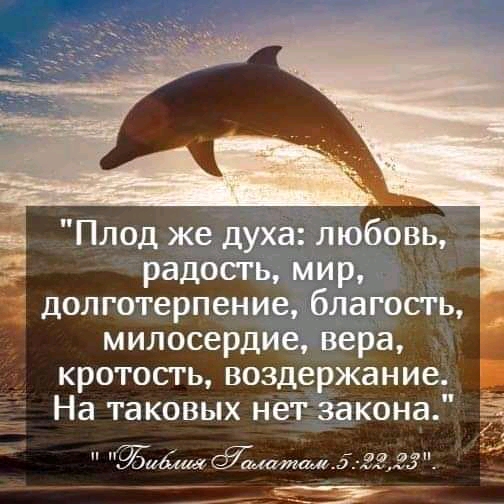 Плод же духа любовь радость мир долготерпение благость милосердие вера кротость воздержание На таковых нет закона шщ атша5г335п