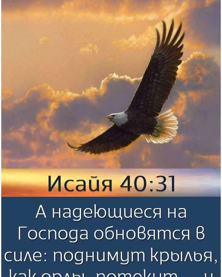 А на9еЮщыеся на ГОСПО9а обноВятся В СЦАе ПО9НЦМЦГП Крытая ППАЪ і пптпппт